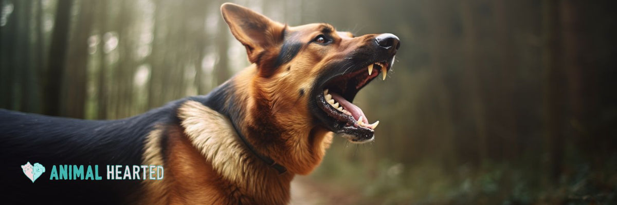 Best shock collars discount for german shepherds