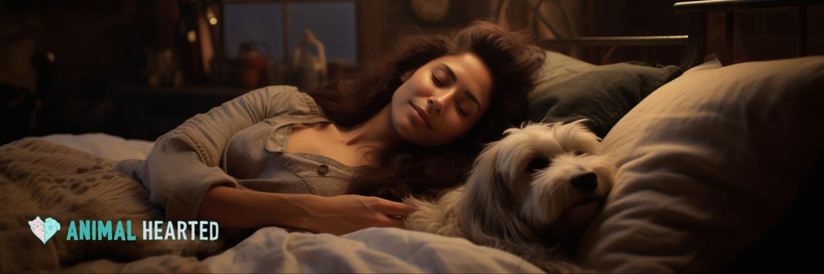 Why does my dog sleep with me and not my husband new arrivals